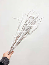 GERMANOTTA » Mazzo di Faggio floccato bianco 10 steli