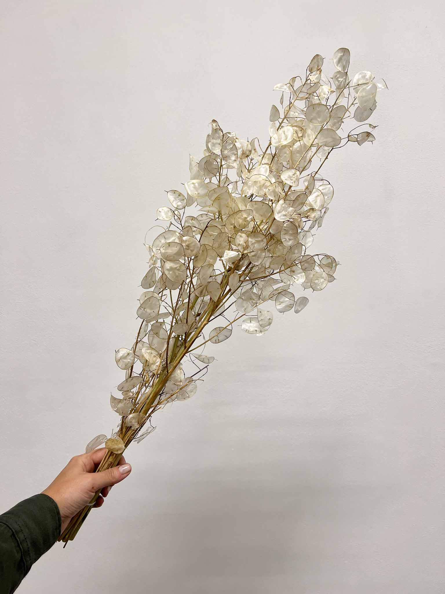 LUNA » Natural Lunaria Sfogliata bouquet