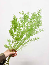 MALIKA » Ruscus stabilizzato verde lime chiaro