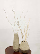 MILVA » 5 rami di Mitsumata bianchi