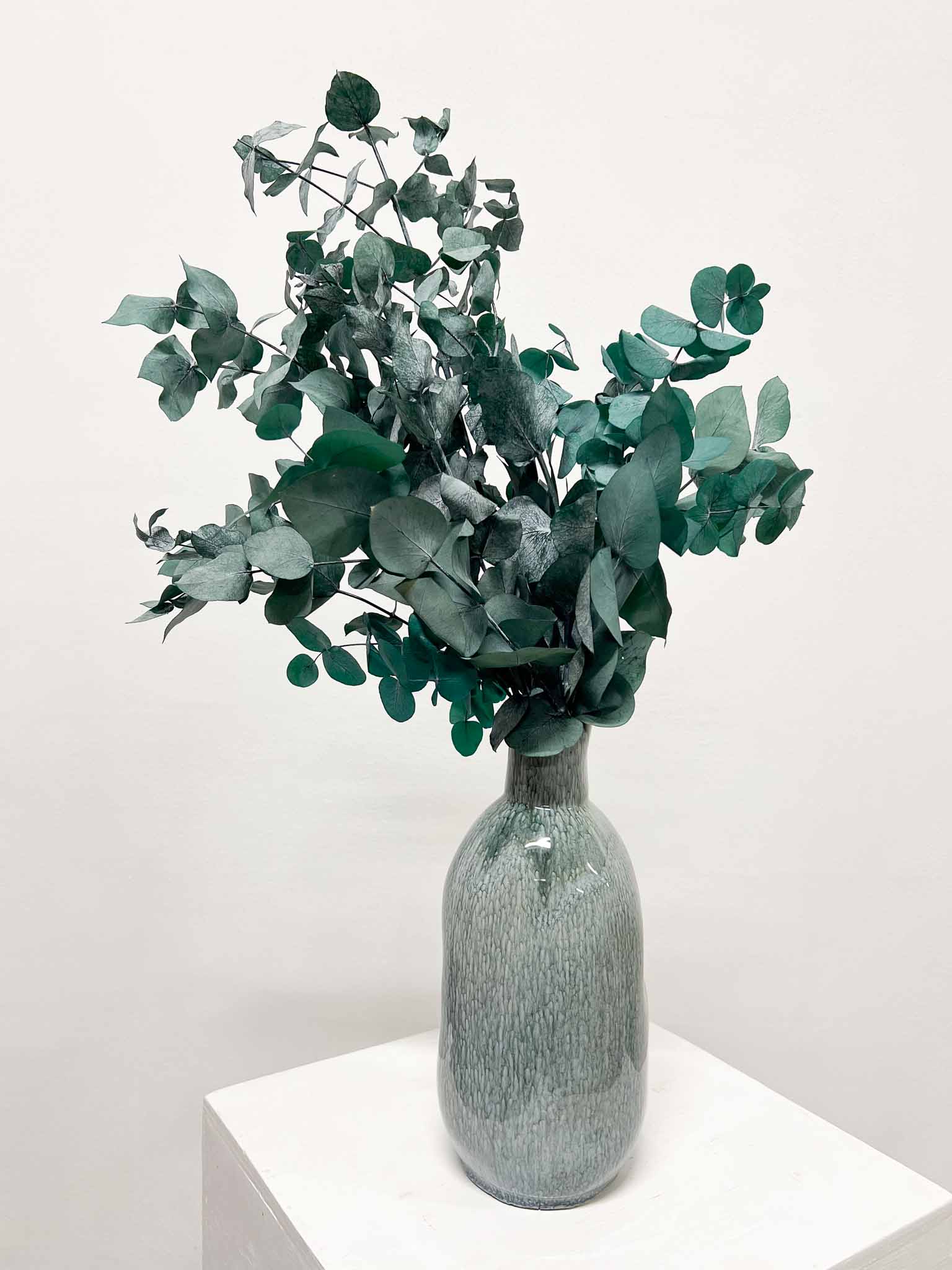 NOARA » Preserved green Eucalyptus Cinerea