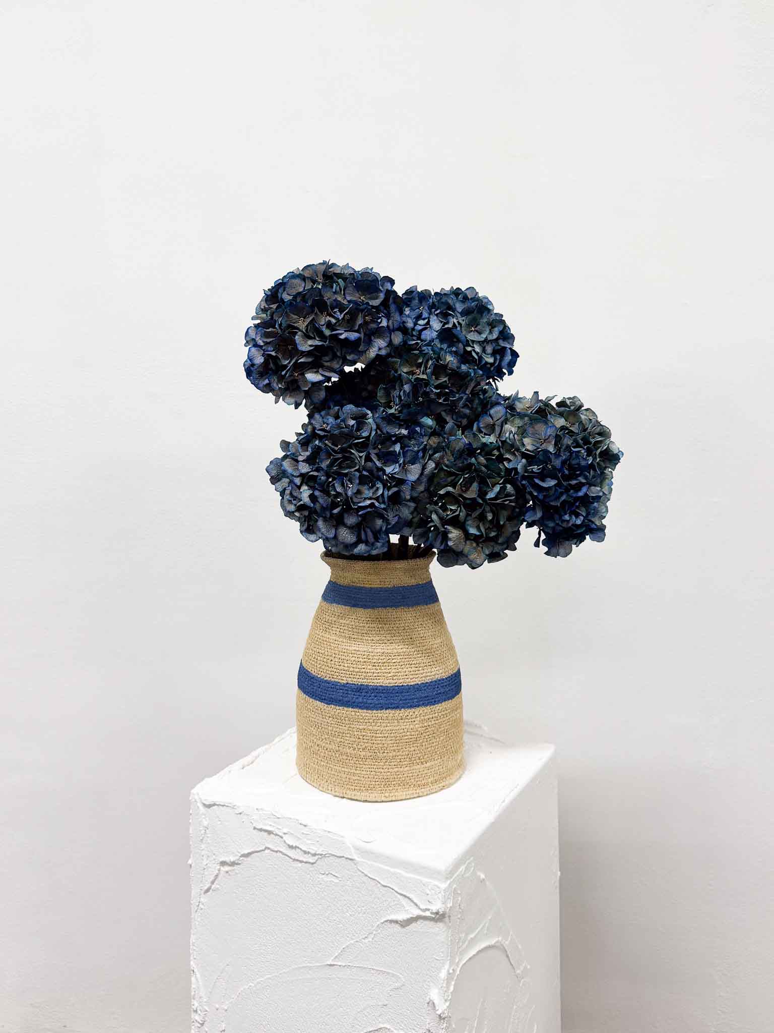 LEONARDA » 3 dried Hydrangeas in blue shades