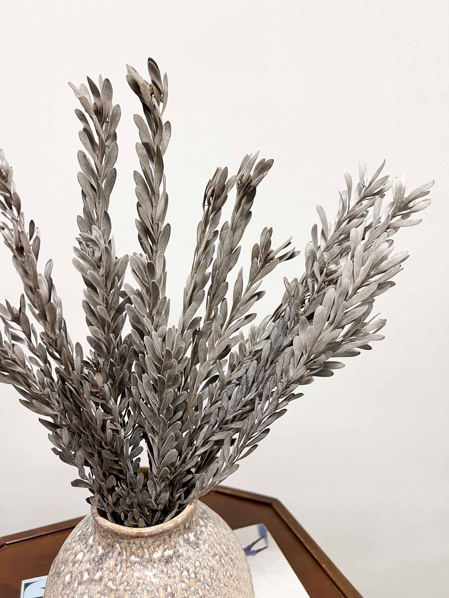 PAKI » Pubescens stabilizzato bianco argento