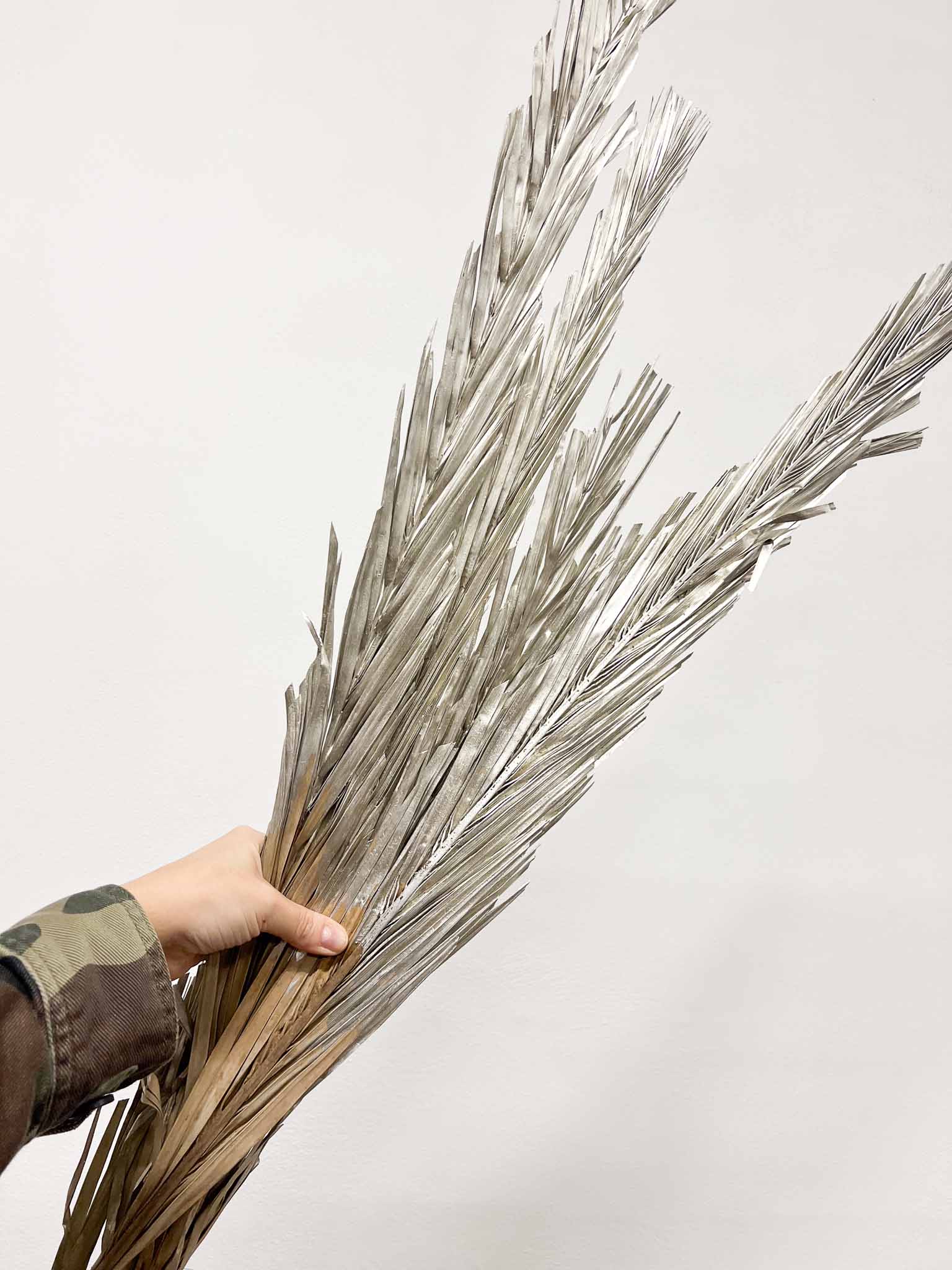 ZELINDA » Dried champagne Palm Leaves