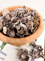 🎁 🌟 POT-POURRI ALLA ROSA OMAGGIO 🌟