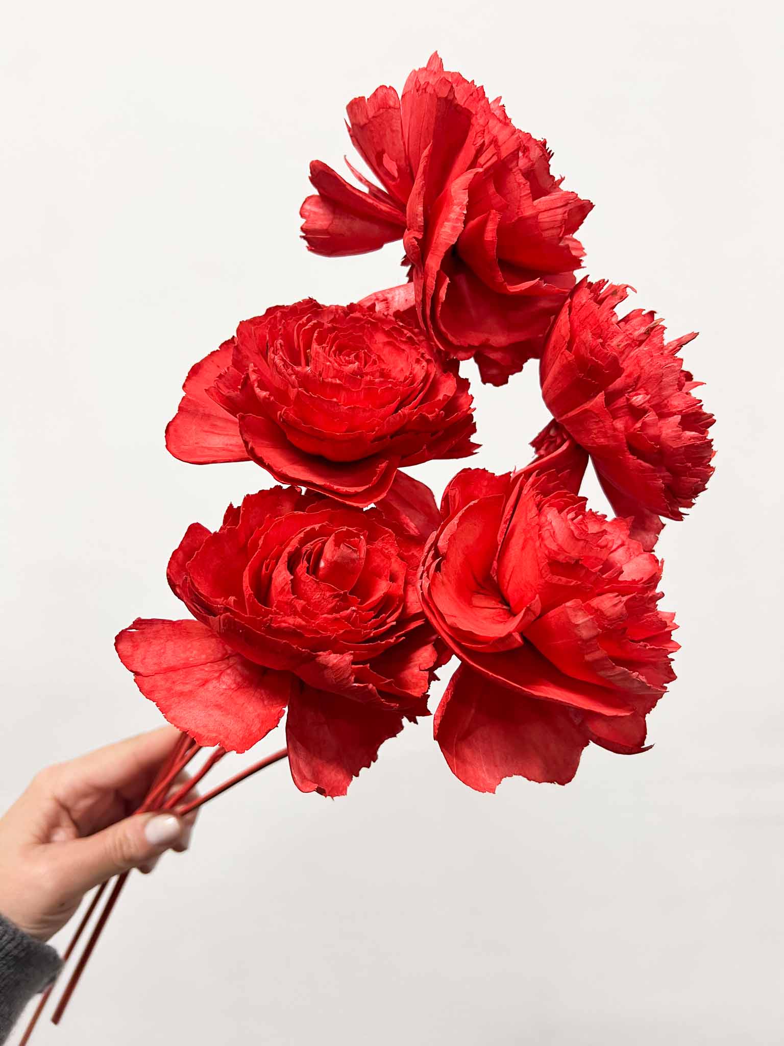 SOFIA » Mazzo di rose rosse ricostruite in fibra di manioca