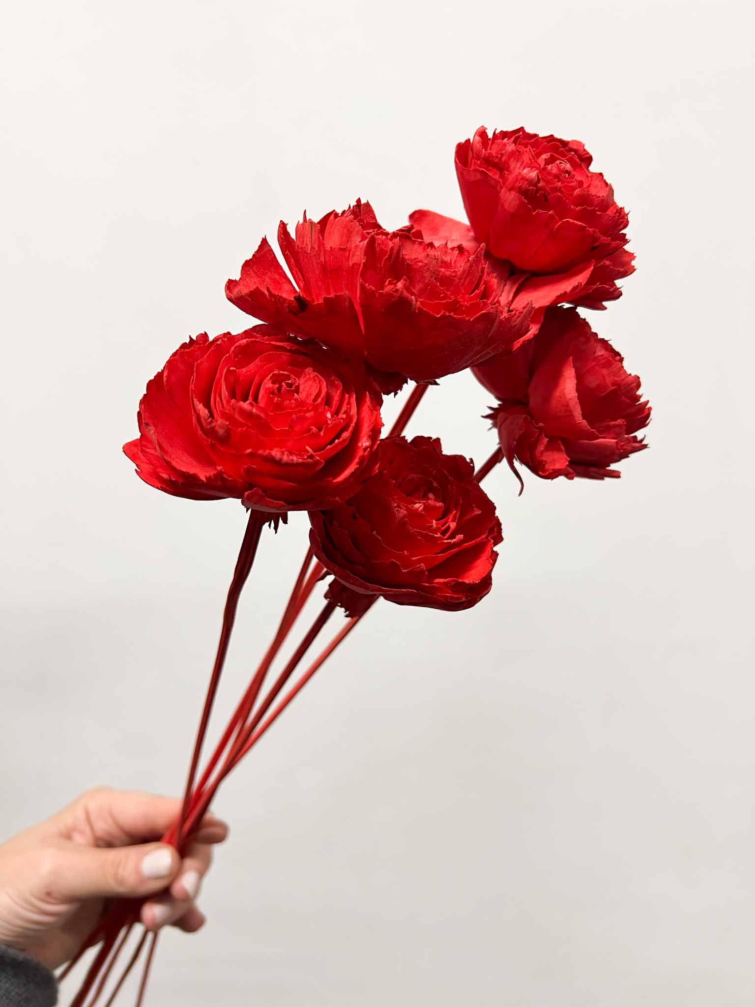 SOFIA » Mazzo di rose rosse ricostruite in fibra di manioca