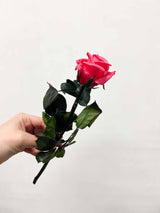 ROSITA » Red Rose stem - 25 cm
