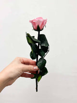 ROSITA » Red Rose stem - 25 cm