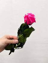 ROSITA » Red Rose stem - 25 cm