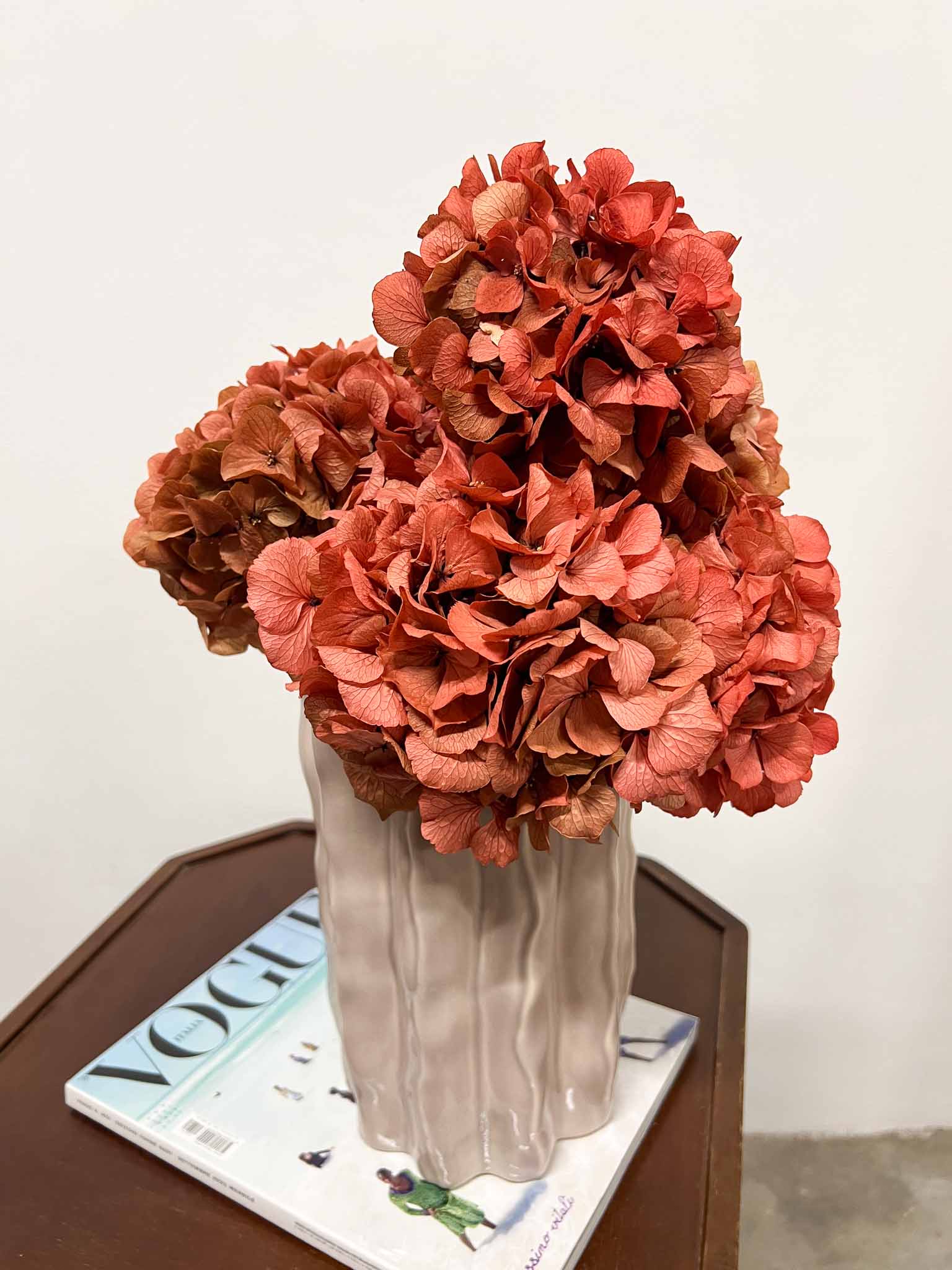 SERENA » Extra coral pink preserved Hydrangea