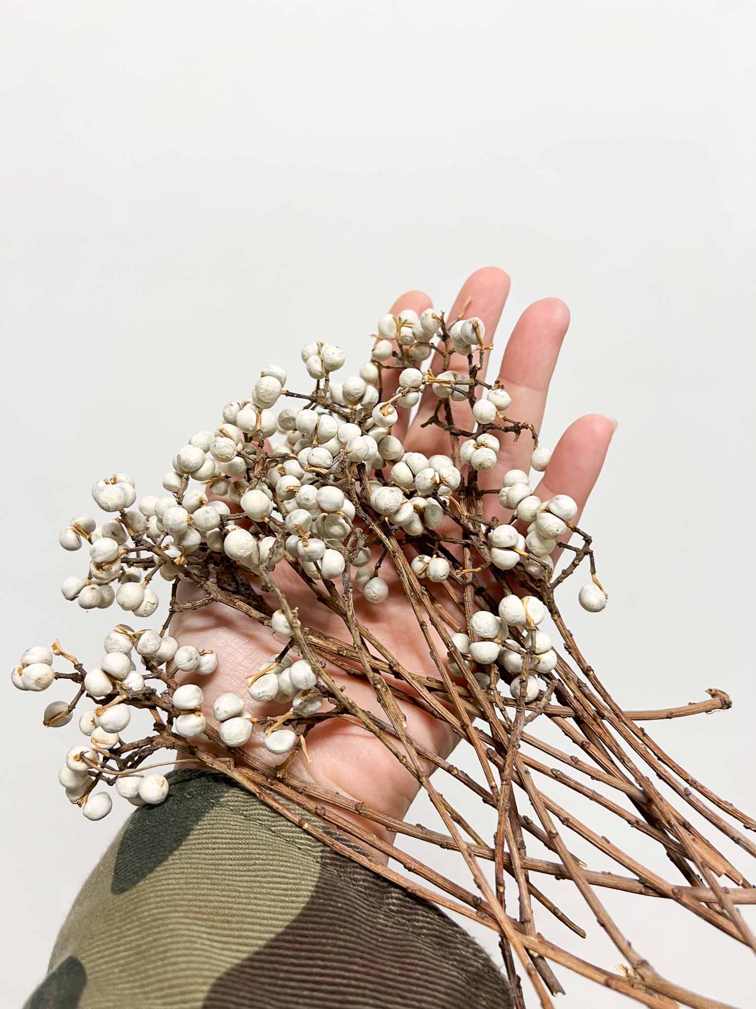 TIBERIO » Fascio di bacche naturali bianche piccolo