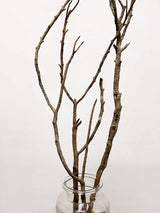 JHAR » ramo ramificato willow naturale 100cm