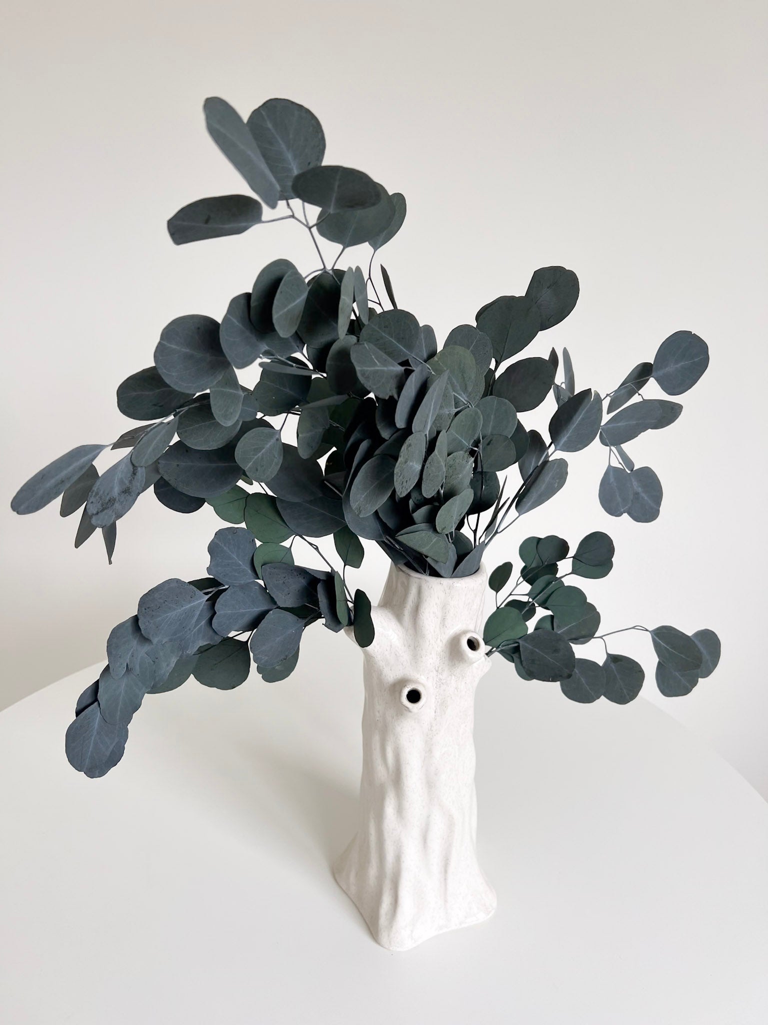 ANTONELLA » Mazzo di Eucalipto Populus stabilizzato verde