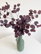BARBARA » Preserved red Eucalyptus Populus bouquet