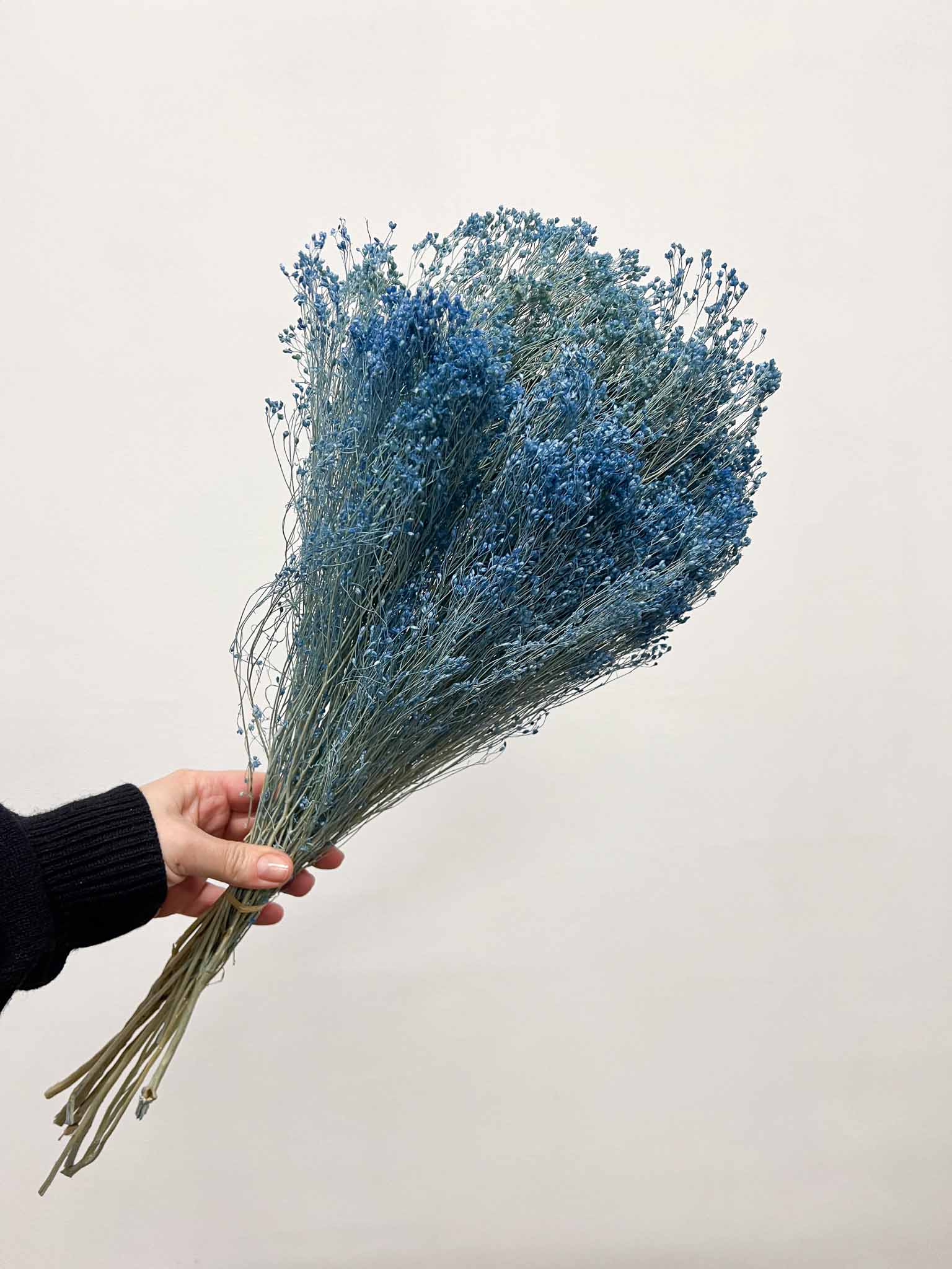 ENEA » Light blue Broom Bloom bouquet