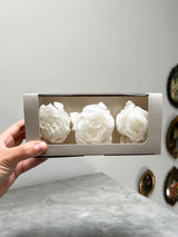 CLELIA » Pack of 3 Preserved White Peonies