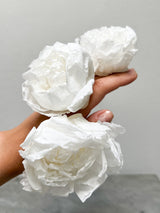 CLELIA » Pack of 3 Preserved White Peonies