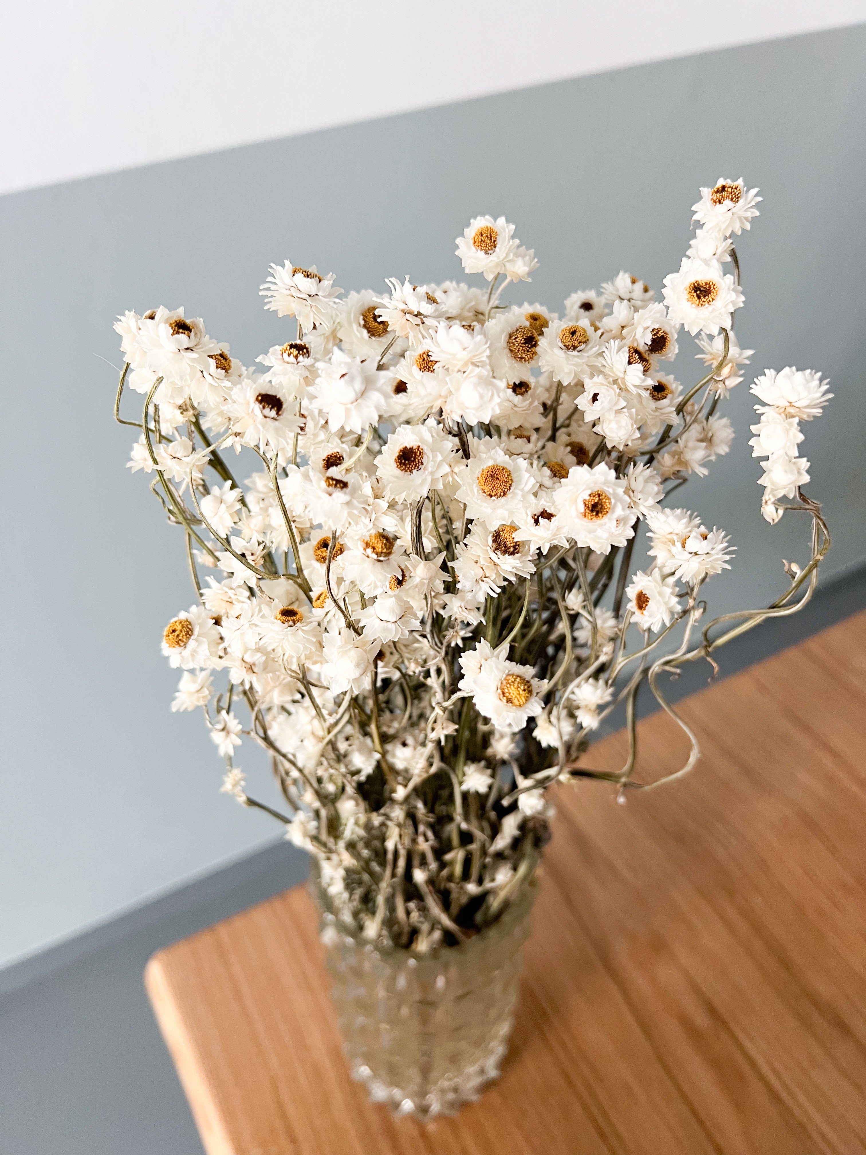 RITA » Mazzo di fiori di Ammobium naturale