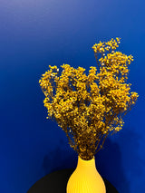 SAMUELA » Preserved yellow Gypsophila bouquet