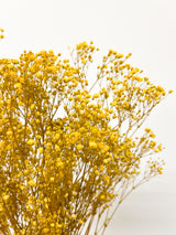 SAMUELA » Preserved yellow Gypsophila bouquet