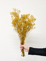 SAMUELA » Preserved Yellow Gypsophila Bouquet