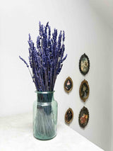 LAURETTA » Preserved Lavander