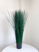 CALOGERO » pianta stabilizzata di bear grass verde H120cm
