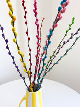 CARIOCA » Mazzo di Salice multicolor