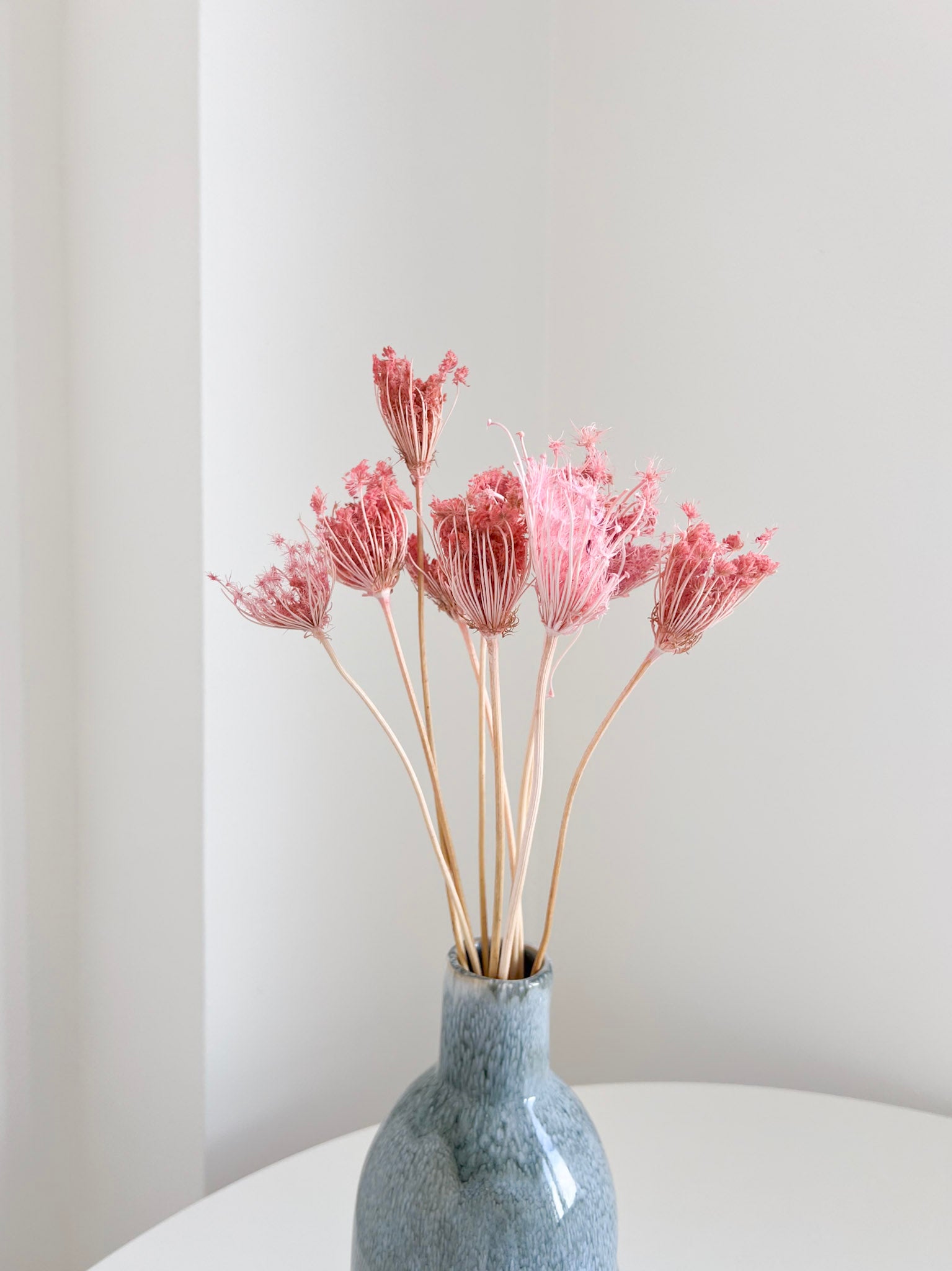 CHICCA » Mazzo di Ammi Majus rosa
