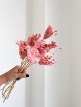 CHICCA » Mazzo di Ammi Majus rosa