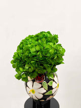 CLEOFE » Ortensia stabilizzata premium verde prato