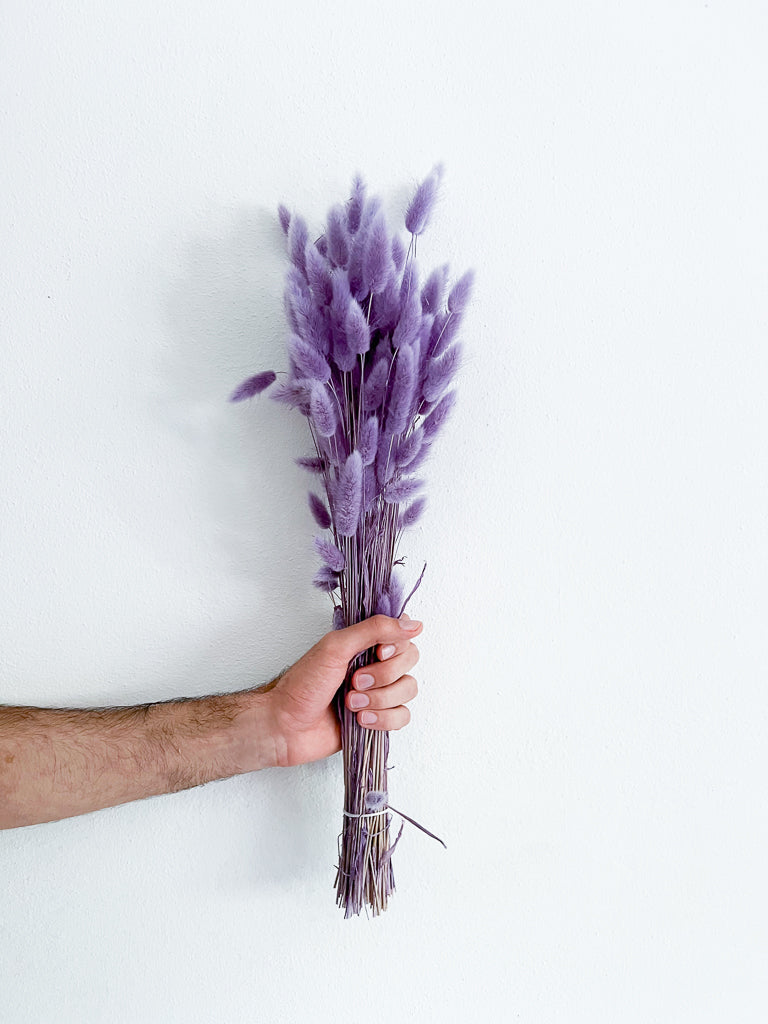 NUNZIA » Milka Purple Lagurus Bouquet