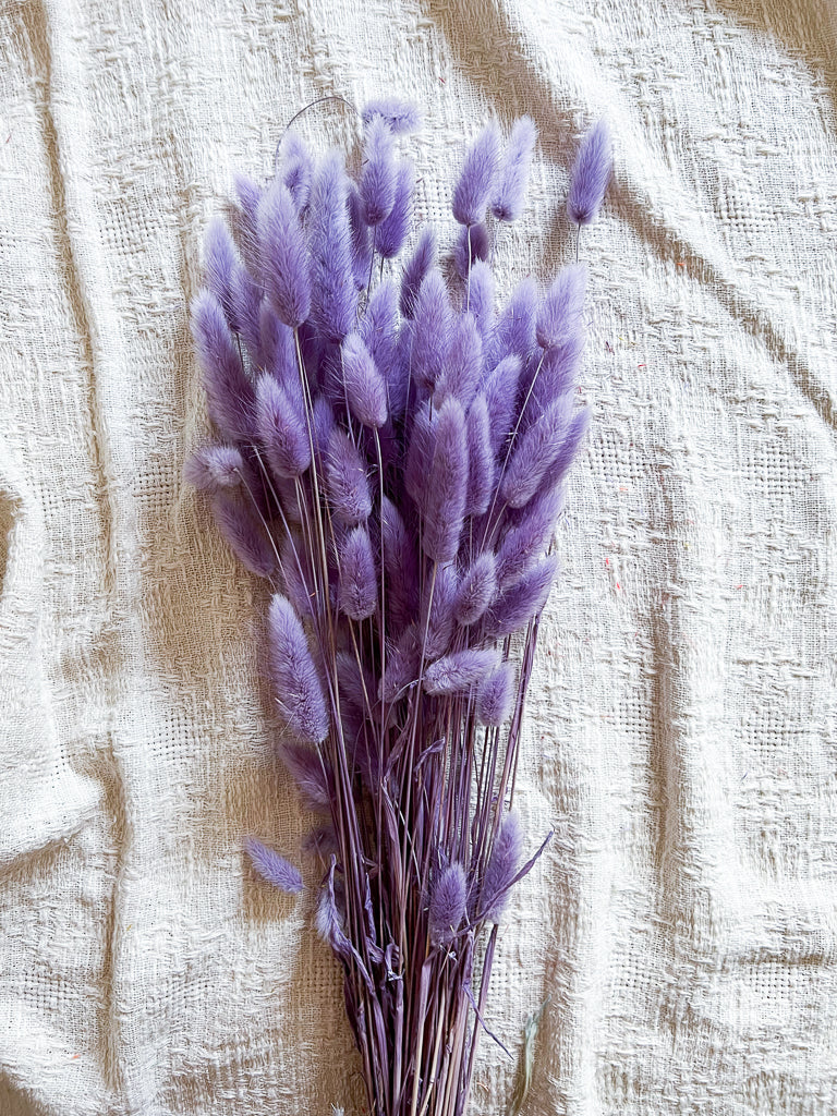 NUNZIA » Milka Purple Lagurus Bouquet
