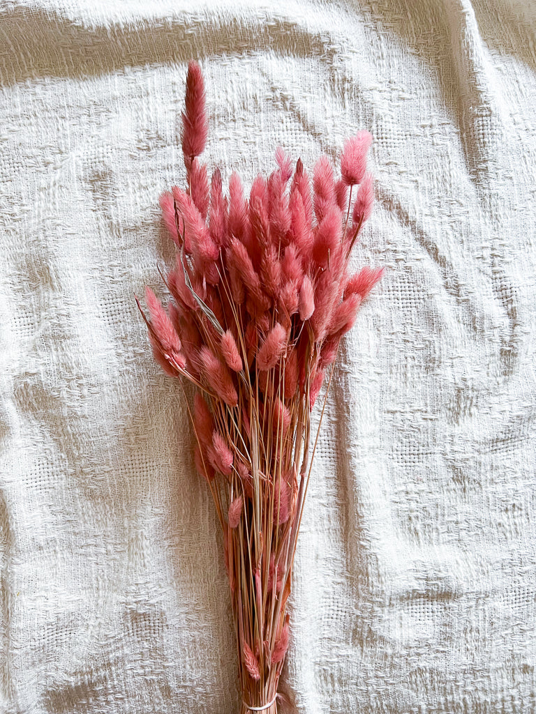 SERENELLA » Mazzo di Lagurus Colorato Rosa Antico