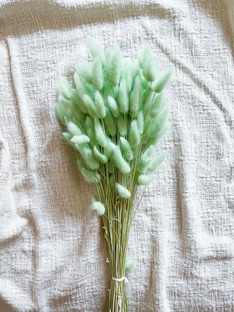 WENDY » Mint Green Lagurus Bouquet