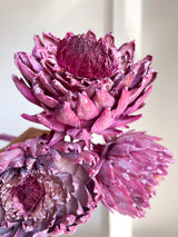 DIONISIA » 3 Carciofi extra grandi essiccati fucsia