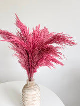 DOMITILLA » Pampas piccola rosa H70cm