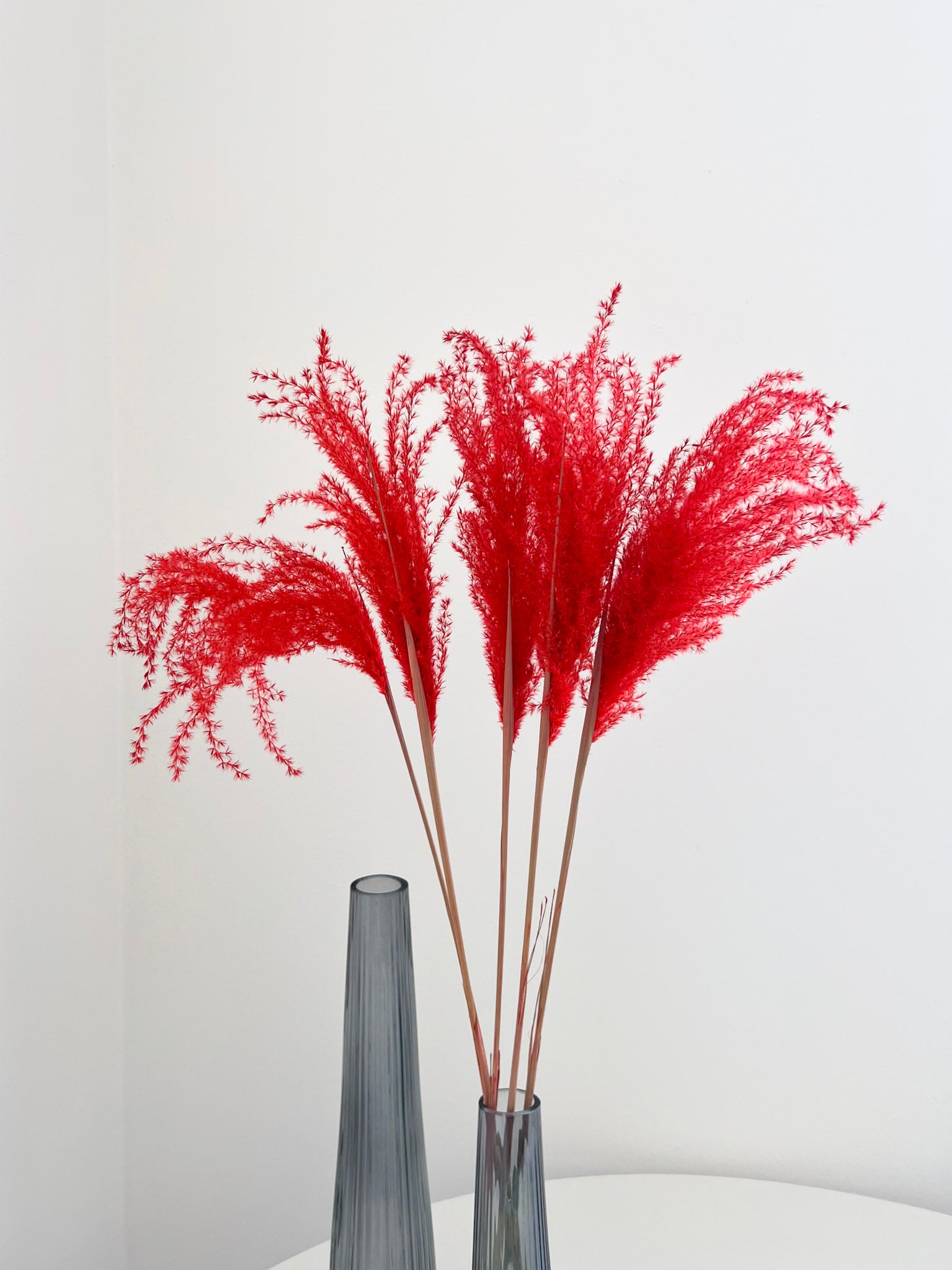 DYLAN » mazzo di miscanthus corallo