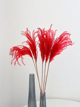 DYLAN » mazzo di miscanthus corallo