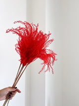 DYLAN » mazzo di miscanthus corallo