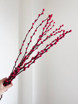 ESMERALDA » Mazzo di Salice colorato essiccato magenta