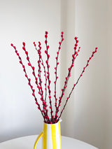 ESMERALDA » Mazzo di Salice colorato essiccato magenta