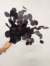 PIPPO » Burgundy Eucalyptus Popolus bouquet
