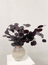 PIPPO » Burgundy Eucalyptus Popolus bouquet