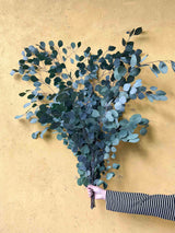 APOLLO » Preserved big green Eucalyptus Populus bouquet