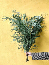 ADONE » Preserved big green Eucalyptus Nicolii bouquet