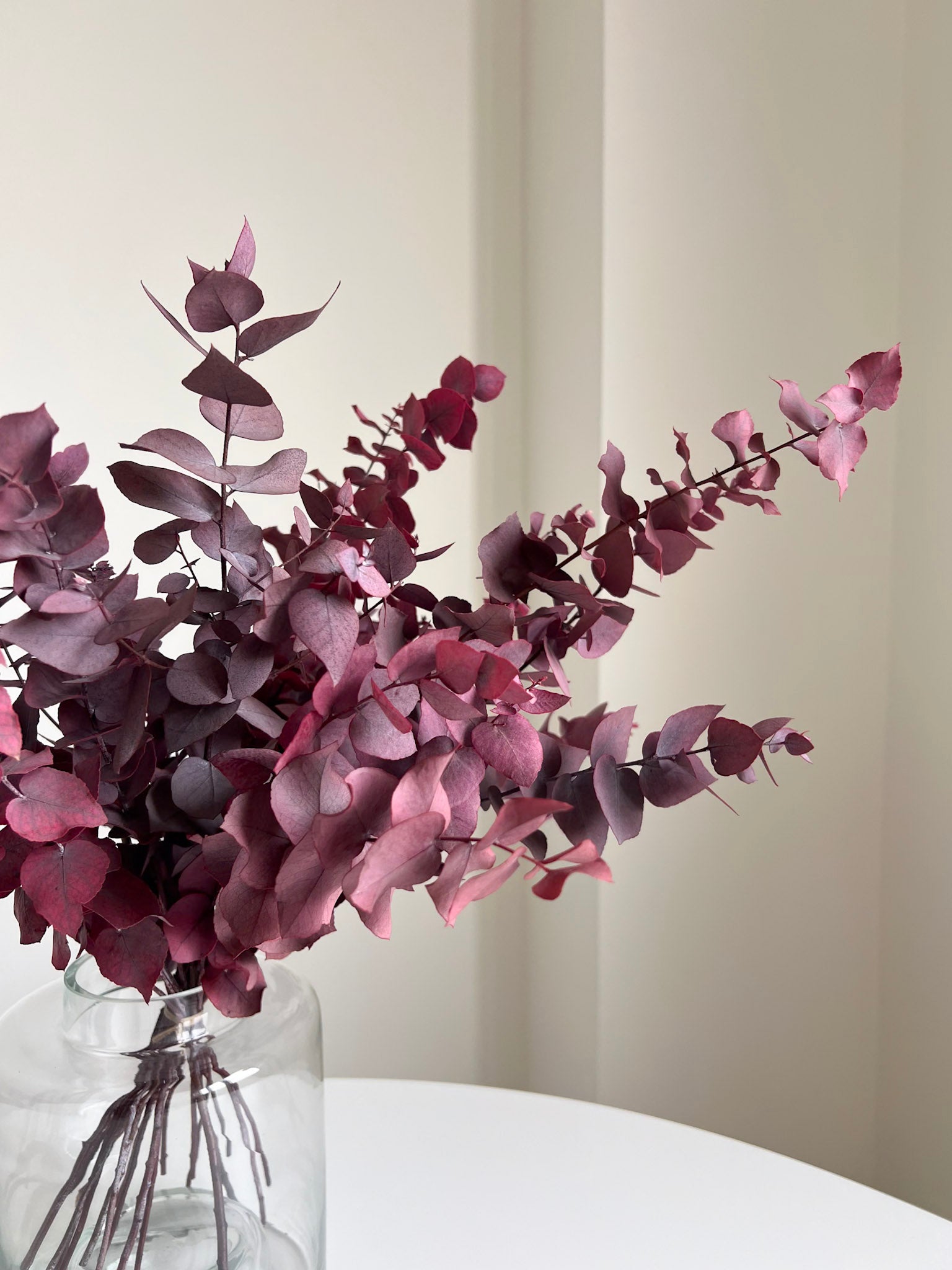 EUGENIA » Mazzo di Eucalipto Stuartiana stabilizzato rosa scuro