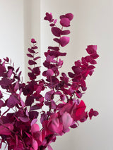 EUGENIA » Mazzo di Eucalipto Stuartiana stabilizzato rosa scuro