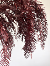 EVANDER » mazzo di foglie di pepe stabilizzato bordeaux H70cm